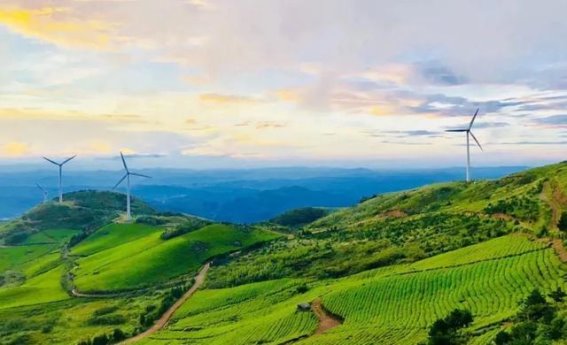 东白山：浙江新晋省级风景名胜区的生态与文化双重魅力