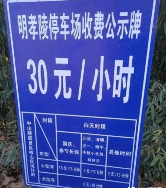 南京明孝陵停车费用的争议：游客与管理的对话