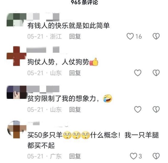 豪华宠物生活引发的思考：对动物福利和社会公平的思考