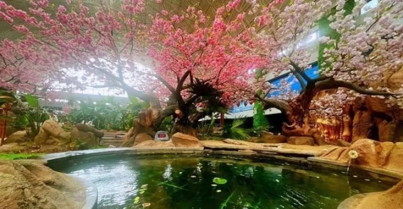 朝阳冰雪旅游新篇章：滑雪与温泉相得益彰，冬季旅游新体验