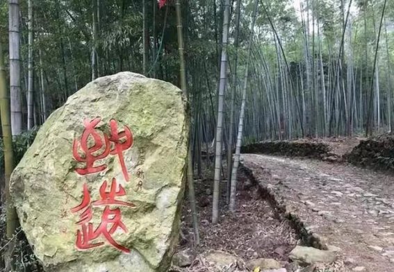 浙江绍兴萧绍古道的篆书大字，您能一眼看懂吗？