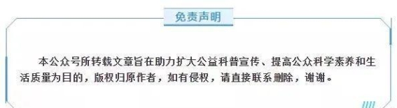 肠道健康的秘密：食物排出时间揭示的身体信号