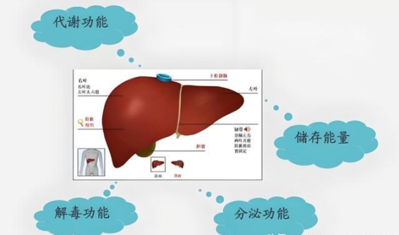 情绪与妇科炎症的关系：香附调理，疏通郁结，根治病根