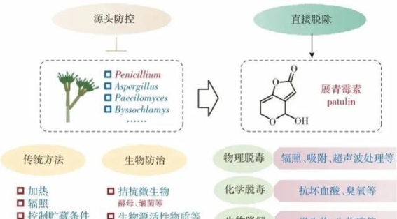 发霉橘子竟成热卖品？背后真相令人震惊