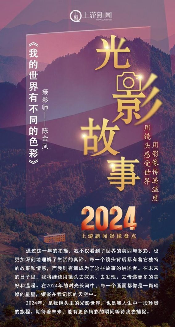 我的世界有不同的色彩——摄影师陈金凤2024影像盘点