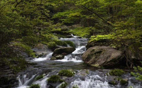 石台醉山野：探索夏日清凉的绝佳避暑胜地