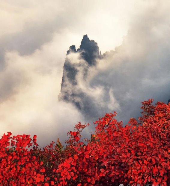 游巫峡，看神女：一峡一峰高峡平湖游精品线路开启