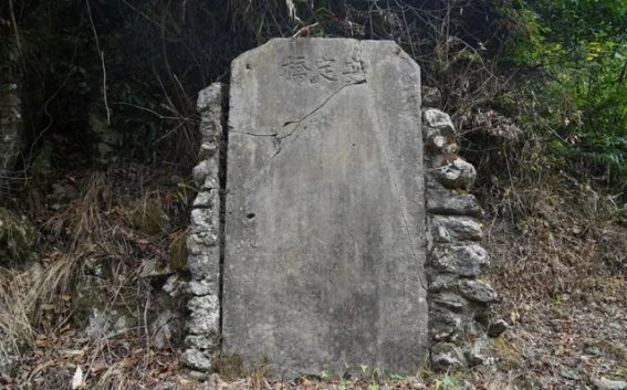 秦岭古道荔枝道：山河褶皱中的文明脐带