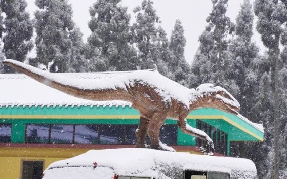 洪雅冬季旅游：冰雪与温泉的双重享受