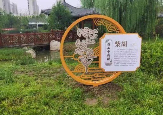 天桥中医药文化传承与创新：从“六个一”谈中医药的古今对接