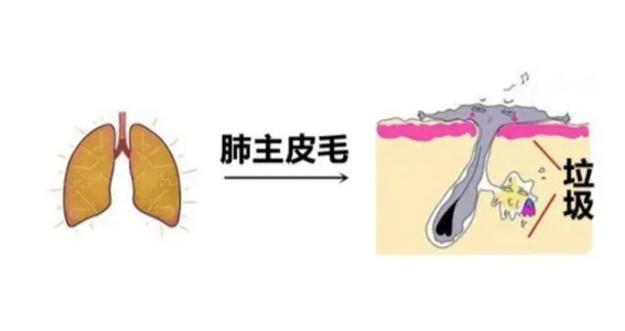 感冒后持续咳嗽的原因及中医的应对之策