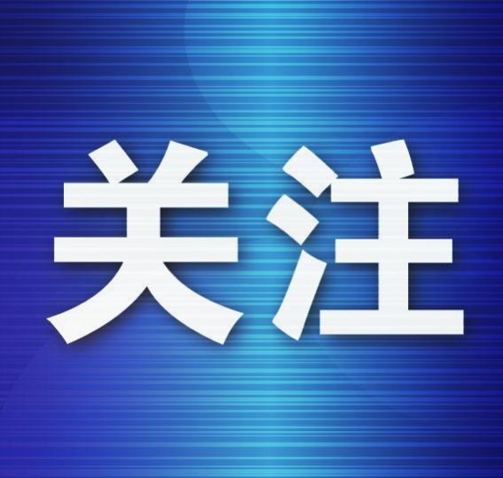 大连聚焦肿瘤康复：2024中国抗癌协会整合大会精彩亮点回顾