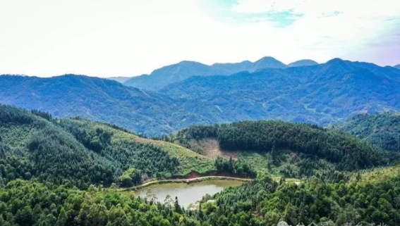 浦北县官垌大山的天池：一处被遗忘的仙境