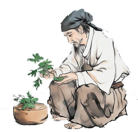 走进中医药世界，感受千年智慧的养生之道