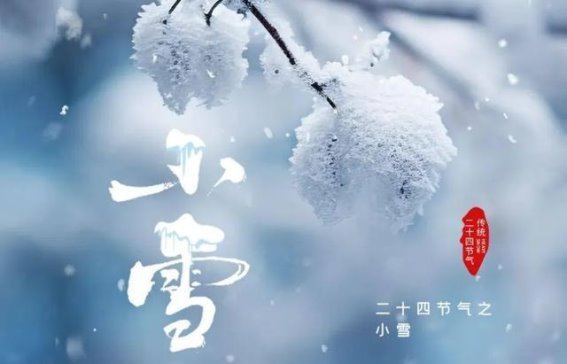 小雪节气养生攻略：温暖冬季，呵护健康