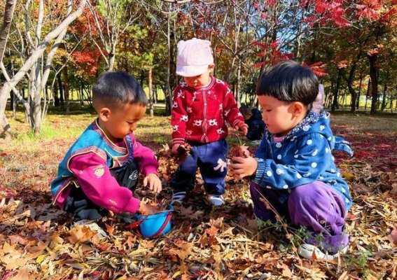 秋日盛景：多彩的准格尔