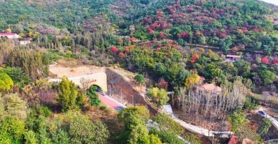 邹平秋韵：穿越隧道，邂逅白云山的金秋魅力