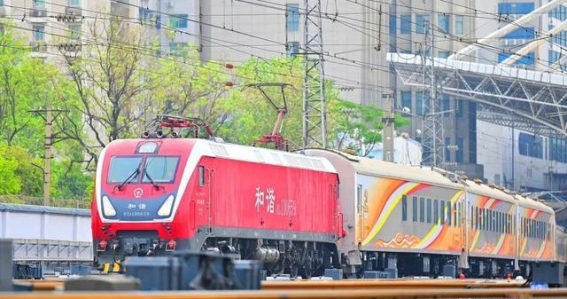 探索“大河之南”号——专为老年人设计的黄金岁月之旅