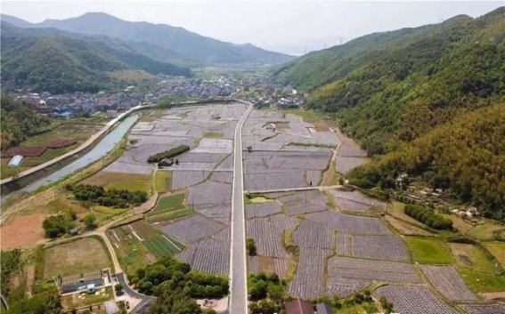 美丽乡村路上的风景：宁海Y405公路的振兴之旅