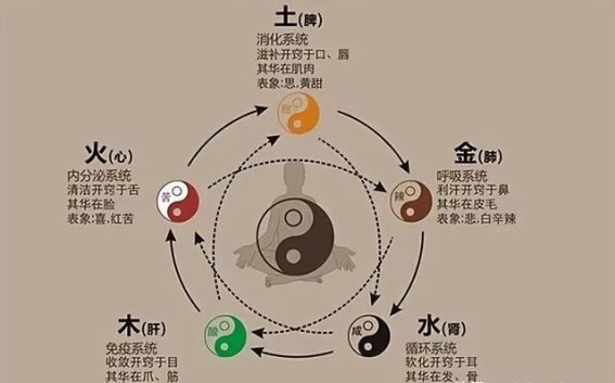 保养脾胃，从香砂六君丸开始：中成药的神奇功效与应用分享