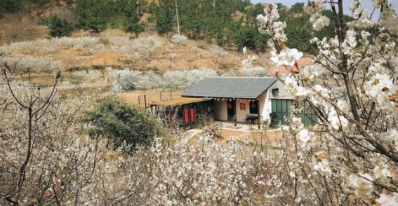 崂山北宅民宿：自然与文化的深度融合