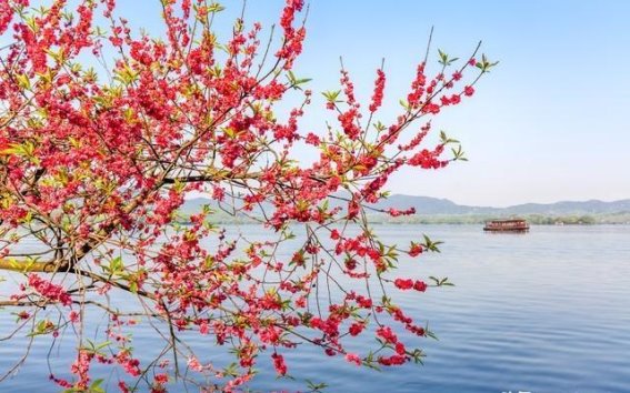 探寻华东六大5A级免费景区，感受别样风光