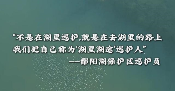 湖里湖途——中俄携手守护候鸟迁徙的漫长旅程