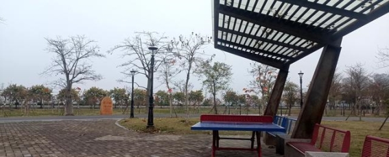 阳江公园乒乓球桌投放情况分析与优化建议