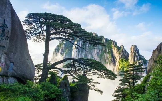 最近去黄山旅游4日游玩导游推荐，黄山最划算又好玩的地方