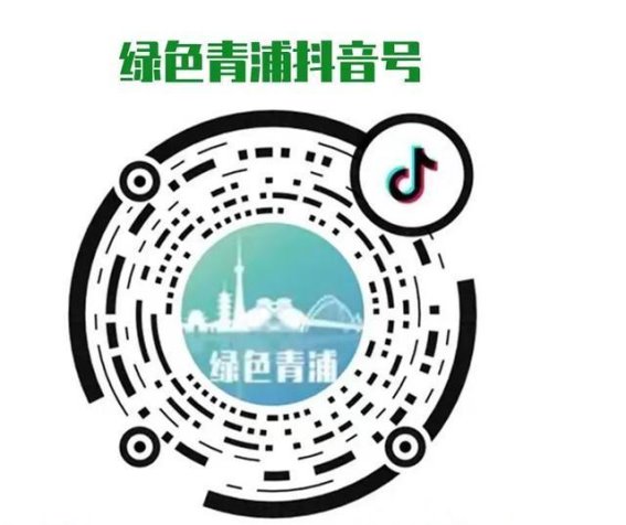 古邮新韵，书香满家：大清邮局与家+书屋的温情邂逅