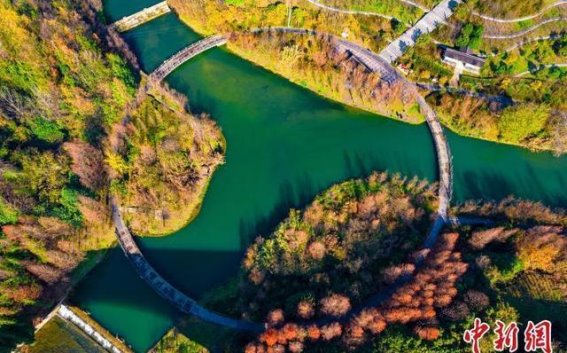 贵州黔西水西湿地公园：冬日的静谧之美