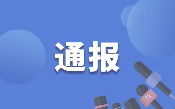 桂花村党支部书记周其发被查的警示与反思