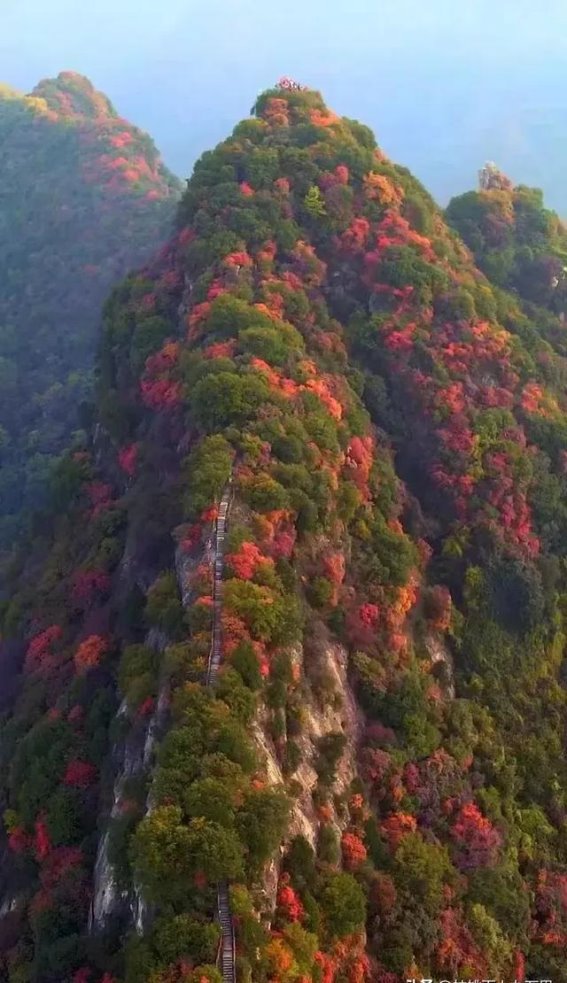 西安秋日红叶赏景指南，四座山的绝美秋色