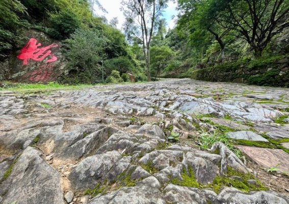 梅关古道：千年岁月的见证者与传承者