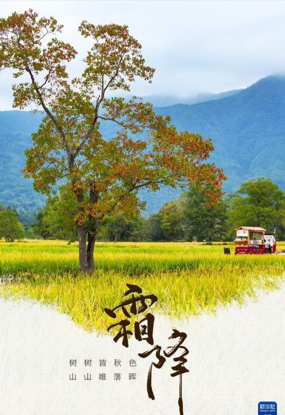秋日皖南：人文与自然的和谐美景