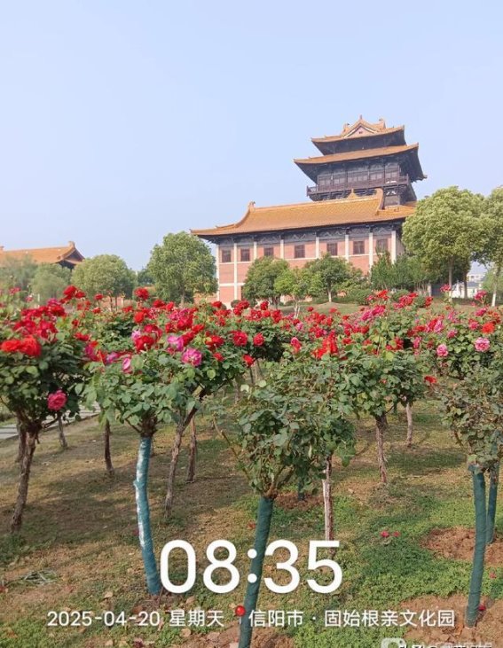 晨练的脚步与城市的清晨