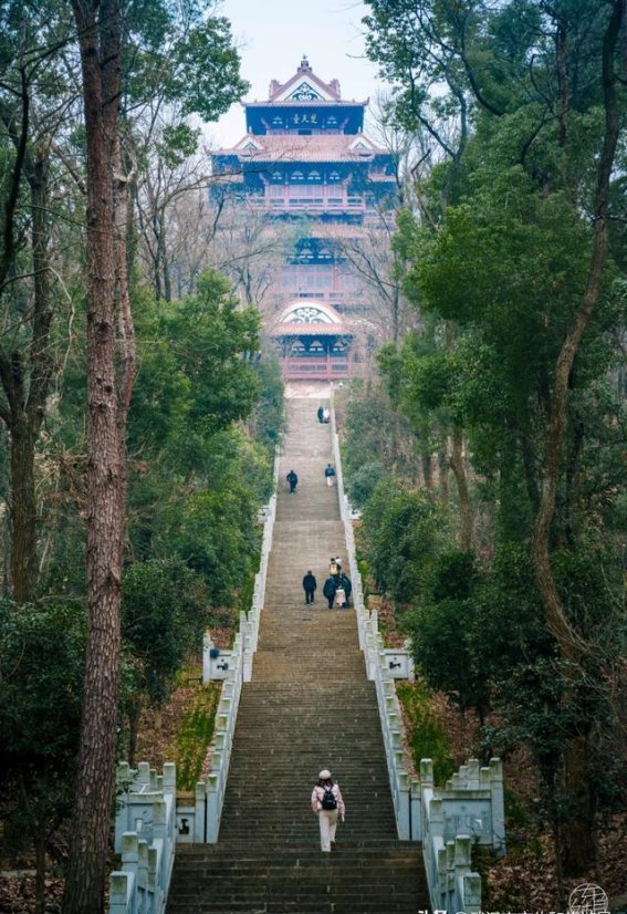 初春徒步好去处，东湖四条必走线路