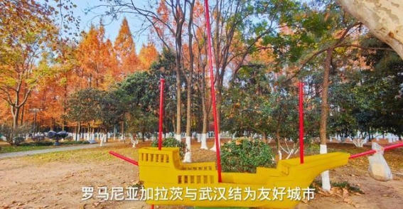 武汉国际友谊林——跨越国界的友谊见证