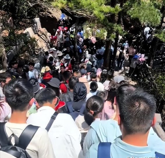 五一假期最堵十大景点出炉！黄山三天捡到18个孩子，游客挤得怀疑人生
