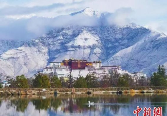 2025年首场降雪：雪覆拉萨，历史与自然的交响