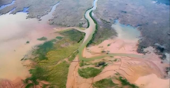 黄河改道黄海：渤海逐渐缩水背后的生态挑战与治理思考