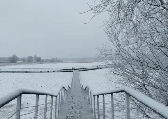 冰雪中的诗意年华：哈尔滨迎新雪景