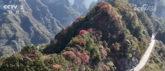 错峰旅游再度升温，秋冬景区焕发新生机