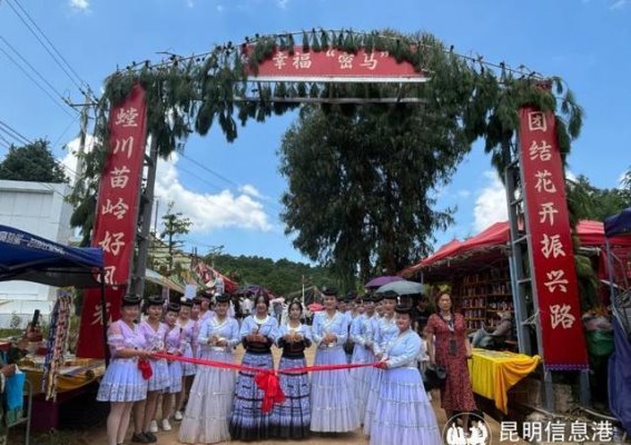 万寿菊绽放的乡村振兴新篇章——记安宁密马龙花山文化旅游节