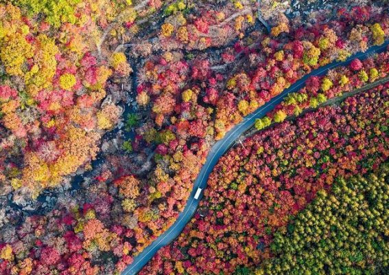 秋色醉人，千里共赏——秋天的中国各地美景