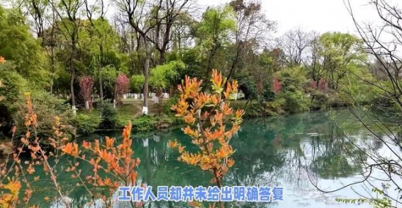 浙江花溪景区水龙头设计争议：审美与文化底线的冲突