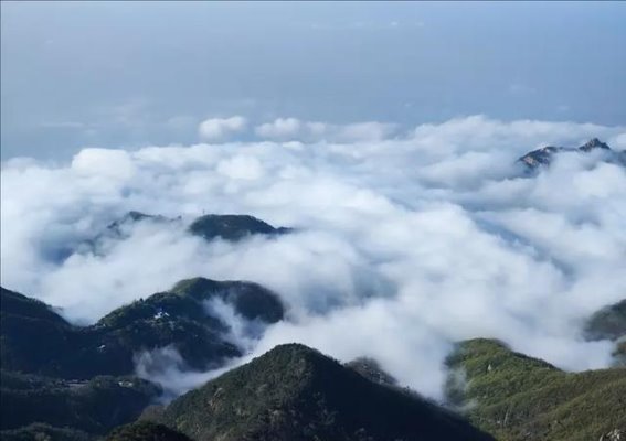 雨后泰山云海：仙境般的自然奇观
