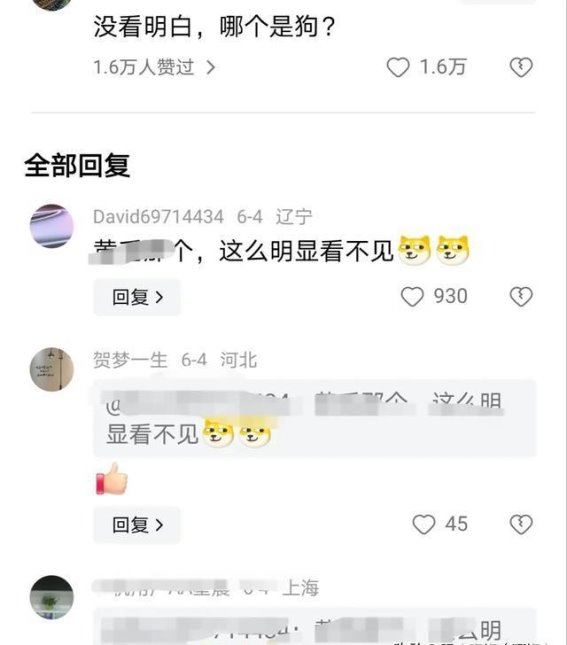 遛狗不牵绳惹祸？从一起事件看责任与态度