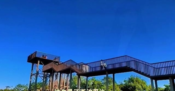 翁津线公路自驾：畅游江浙沪最美自然与历史的五大打卡地