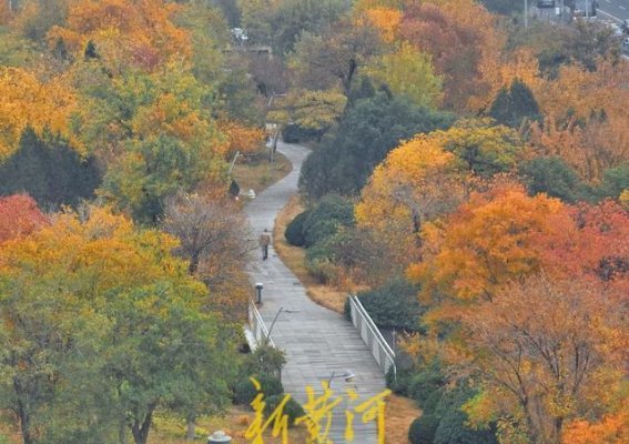 初冬腊山河畔，五彩斑斓勾勒大地画卷